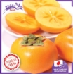 Picture of Japanese Tone Wase Persimmon x 1 unit