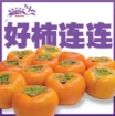 Picture of Japanese Tone Wase Persimmon x 1 unit