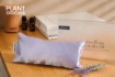 Picture of Sweet Dream Aromatherapy Set