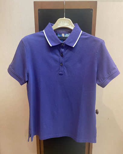 Picture of [Pre Order]Women's Short Sleeve Polo Polo V359 Plum Purple