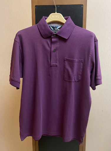 Picture of [Pre Order]Men's Short Sleeve Polo V365 Mulberry Purple